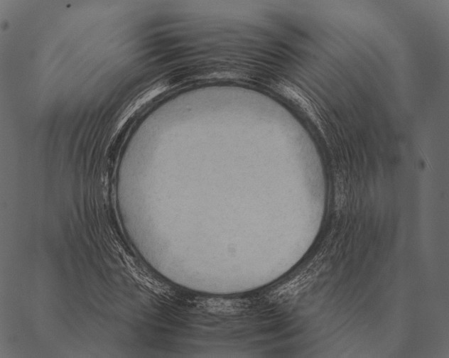 X0000087310827200705180944