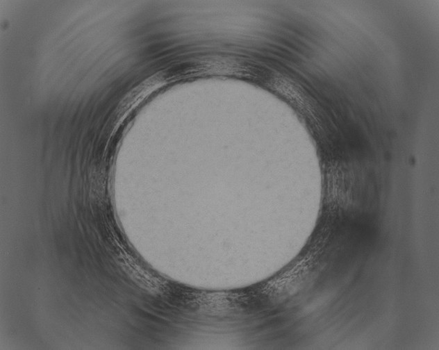 X0000087310828200705180944