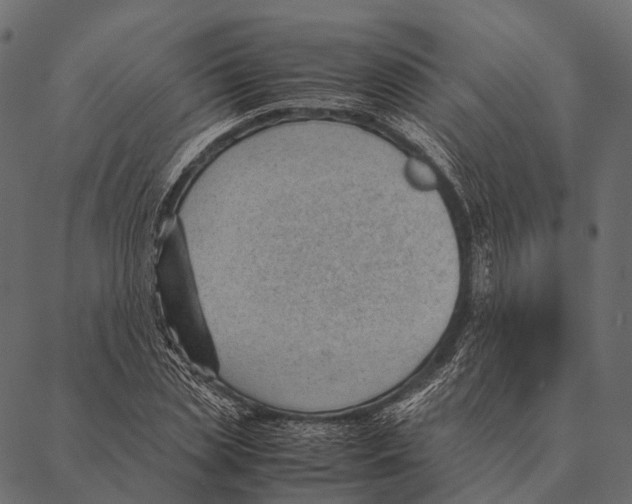 X0000087310829200705180944