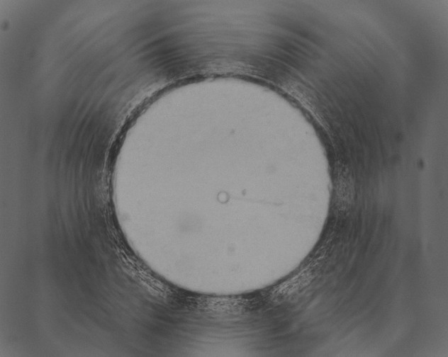 X0000087310832200705180944