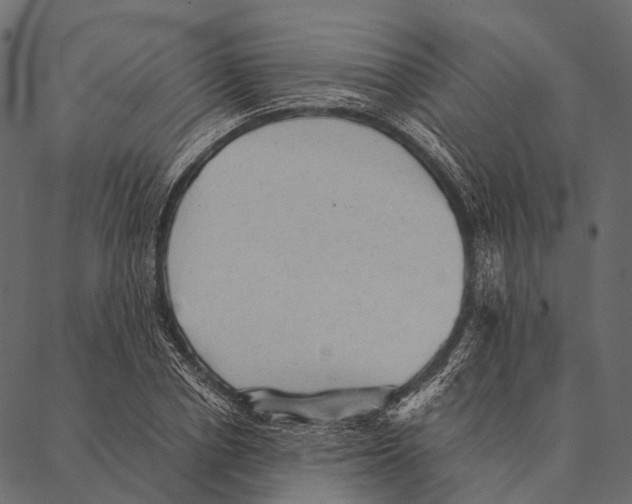 X0000087310834200705180944