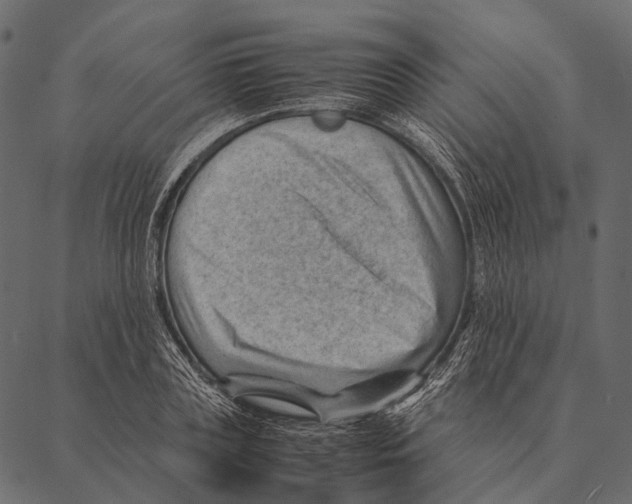 X0000087310835200705180944