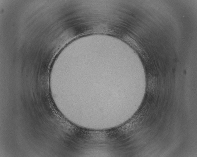 X0000087310836200705180944