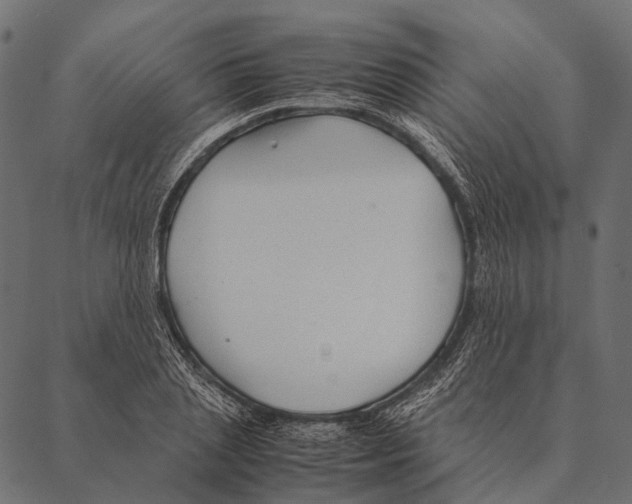 X0000087310837200705180944