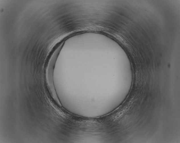 X0000087310838200705180944