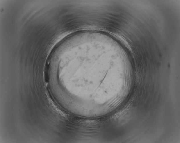 X0000087310839200705180944