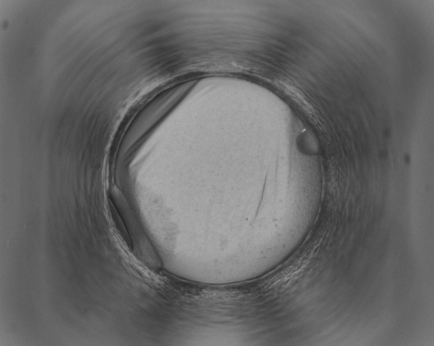 X0000087310840200705180944