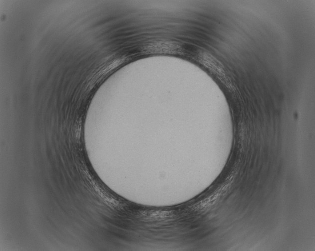 X0000087310841200705180944