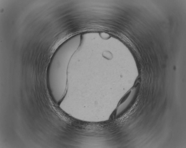 X0000087310842200705180944