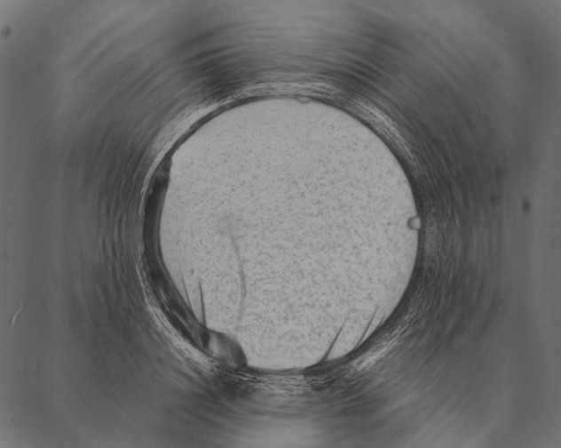 X0000087310844200705180944