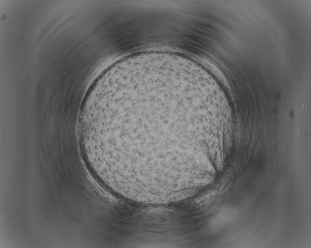 X0000087310847200705180944