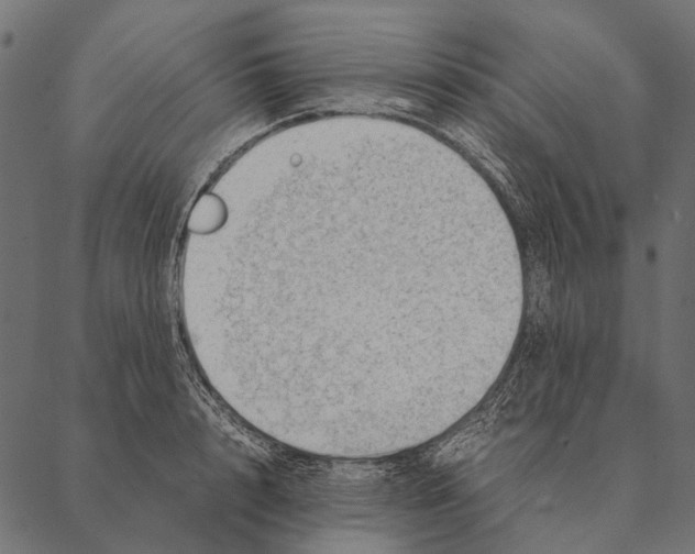 X0000087310848200705180944