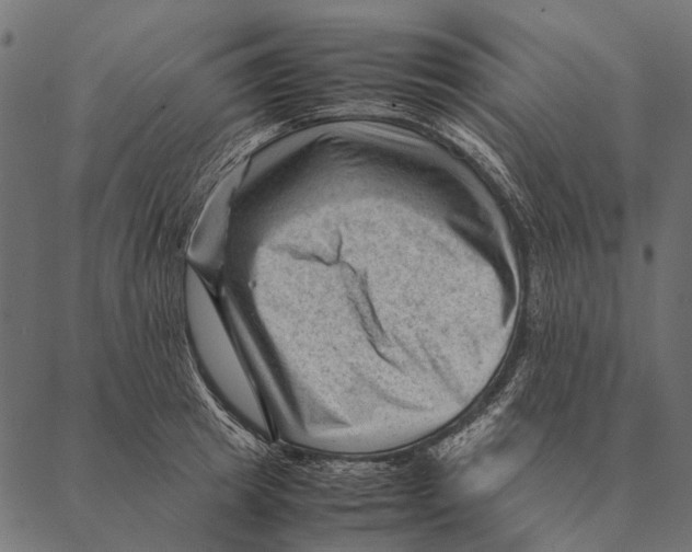 X0000087310849200705180944