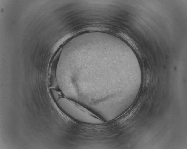 X0000087310853200705180944