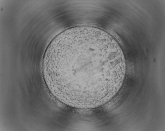 X0000087310856200705180944