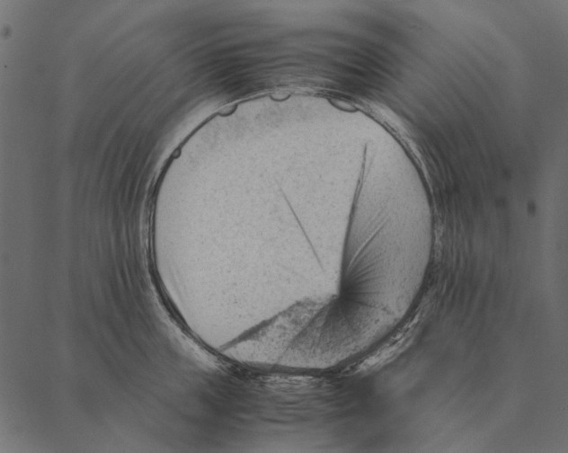 X0000087310859200705180944