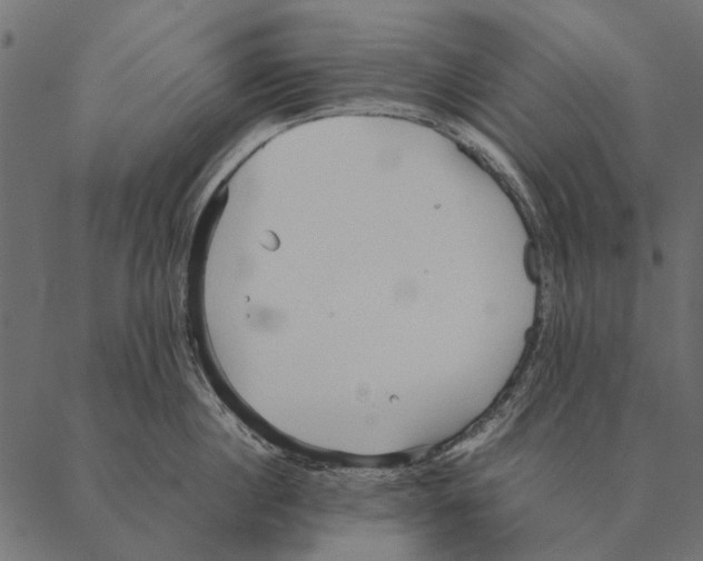 X0000087310860200705180944