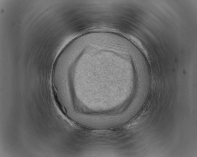 X0000087310863200705180944