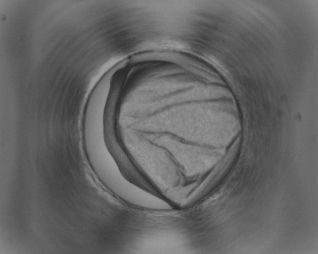 X0000087310864200705180944