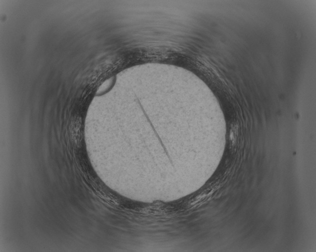 X0000087310867200705180943