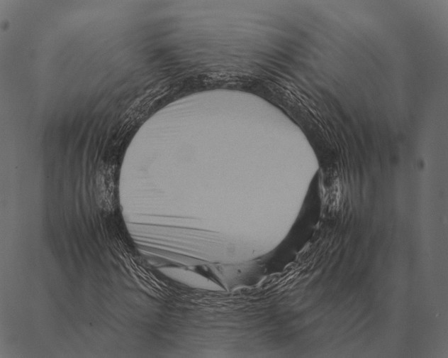 X0000087310868200705180943