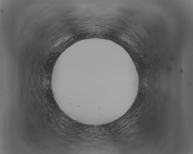 X0000087310869200705180943