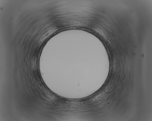 X0000087310873200705180943