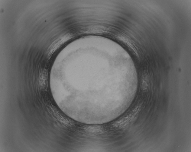 X0000087310874200705180943