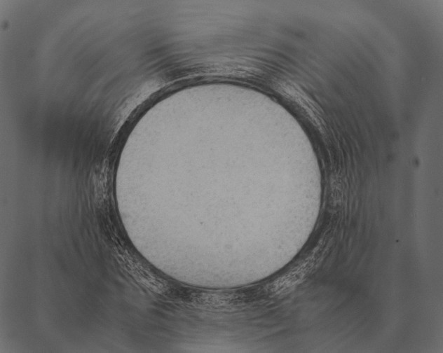 X0000087310875200705180943