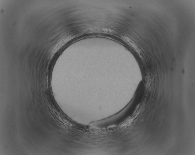 X0000087310877200705180943