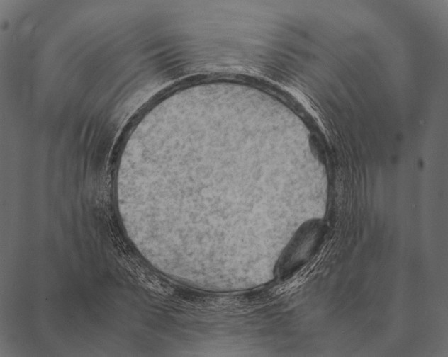 X0000087310879200705180943