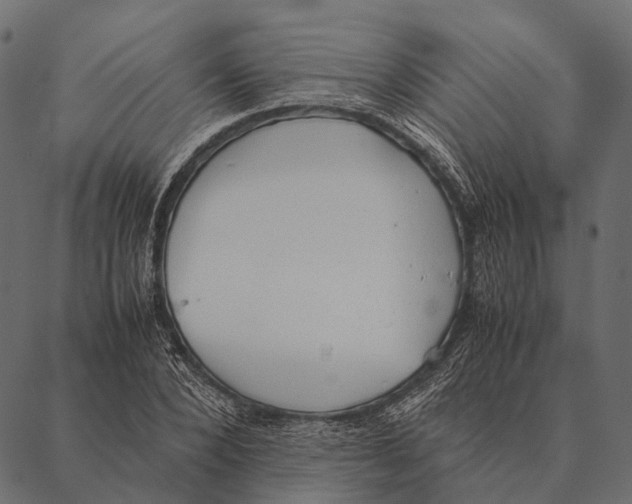 X0000087310880200705180943