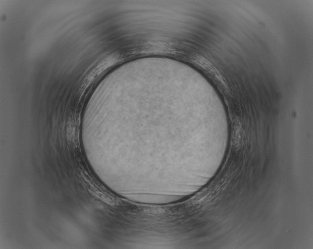 X0000087310882200705180943