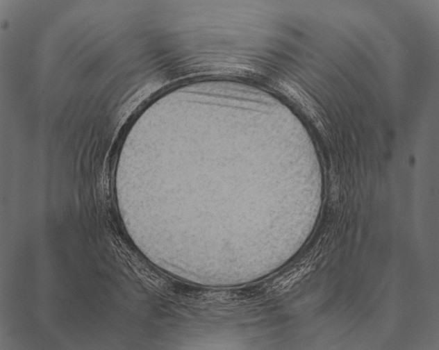 X0000087310883200705180943