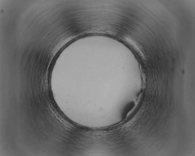 X0000087310884200705180943