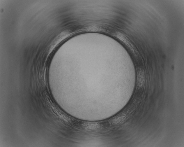 X0000087310886200705180943