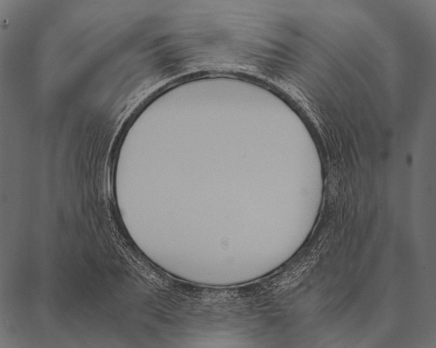 X0000087310887200705180943