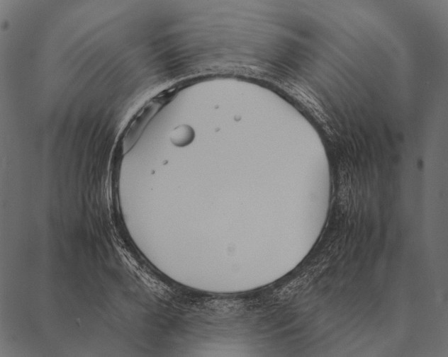 X0000087310888200705180943