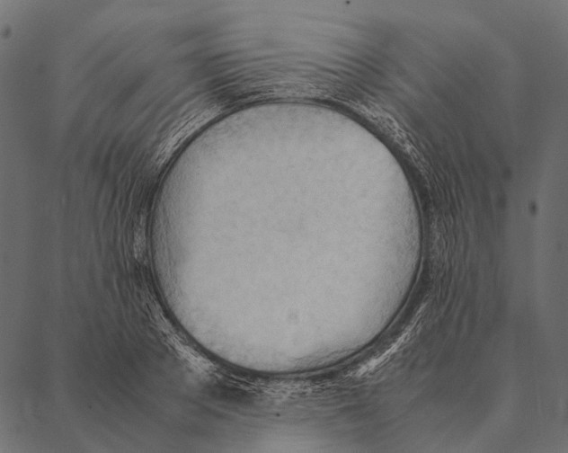 X0000087310889200705180943