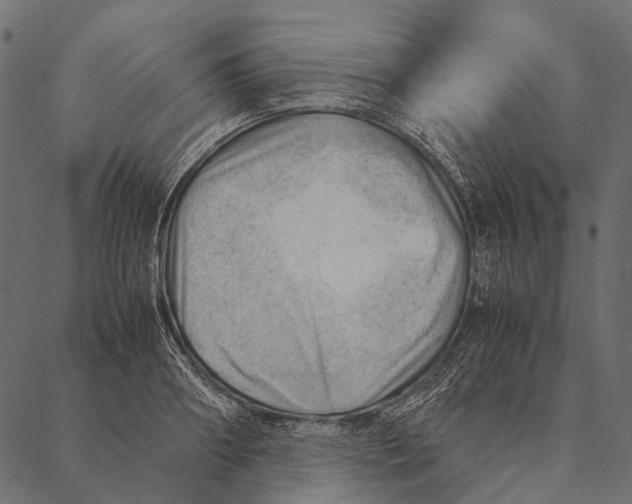 X0000087310890200705180943