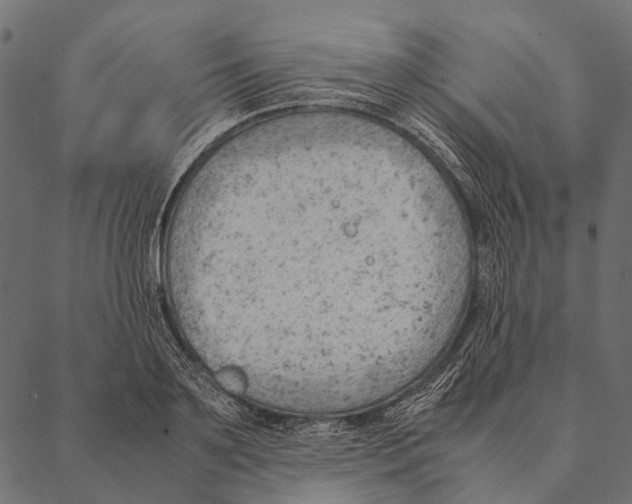 X0000087310891200705180943