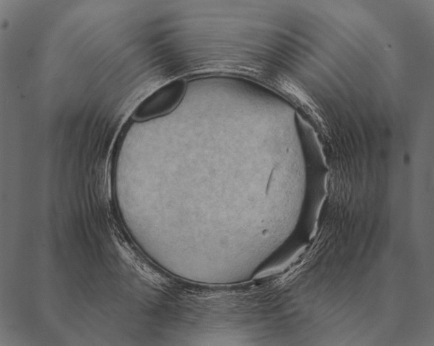 X0000087310892200705180943