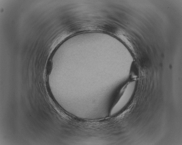 X0000087310893200705180943