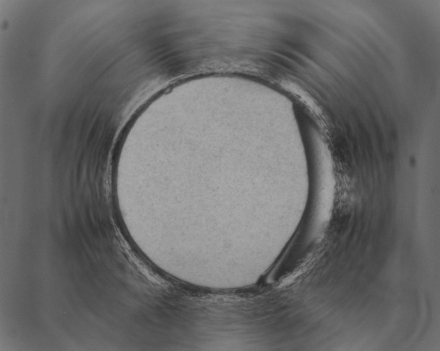 X0000087310894200705180943