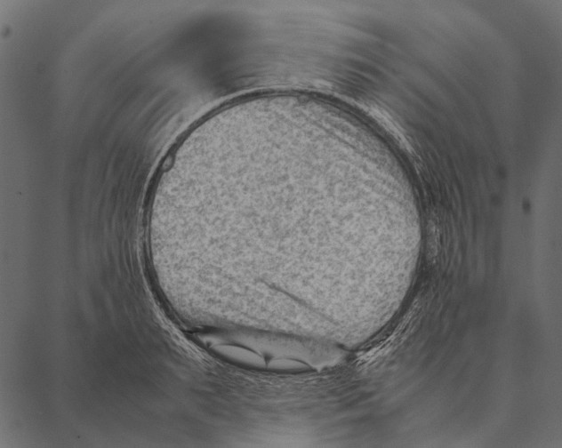 X0000087310895200705180943