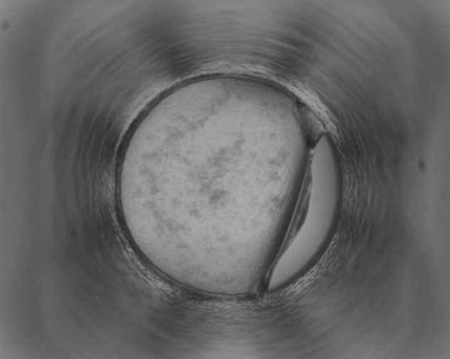 X0000087310896200705180943