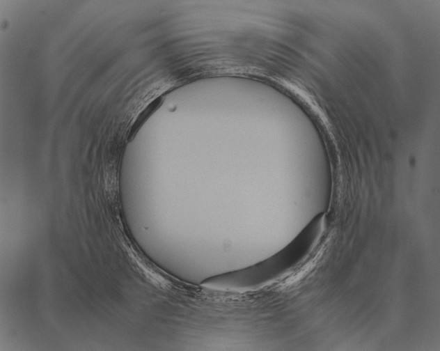 X0000087310897200705180943