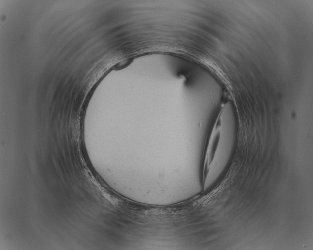 X0000087310898200705180943