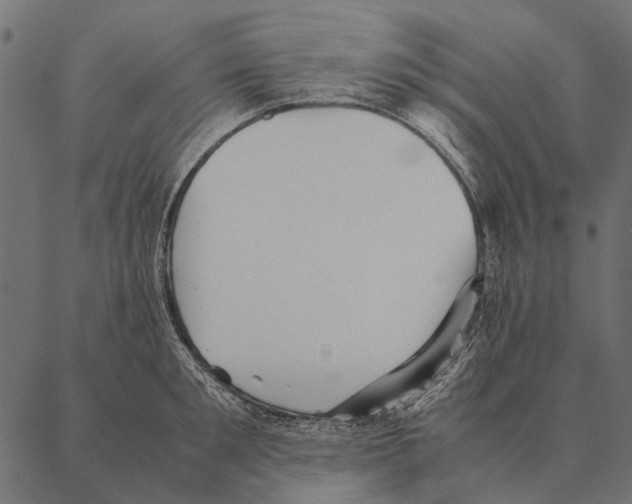 X0000087310901200705180943