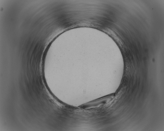 X0000087310902200705180943